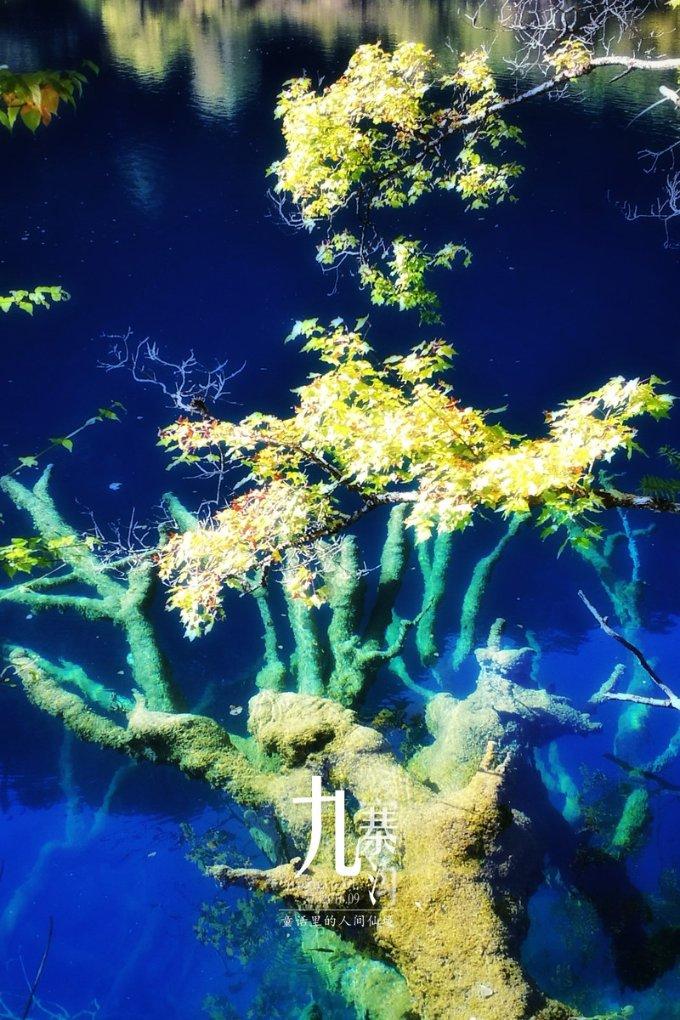 何以中国·向海泉州 ｜世界上有海水的地方，就有泉州人 