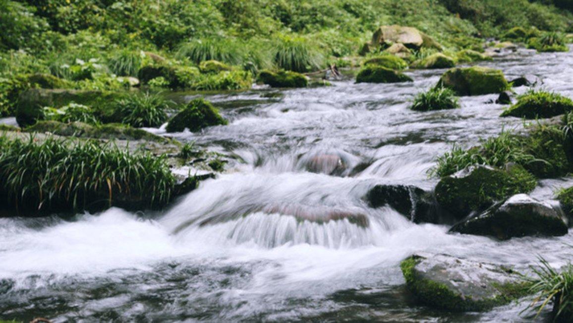 水果益智对对碰
